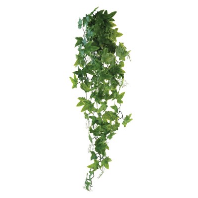 Растение «Виноград», 60 см