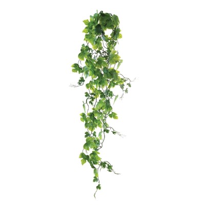 Растение «Плющ», 60 см 